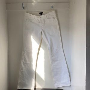 White House Black Market size 10 boot cut